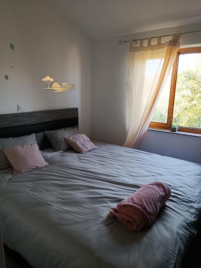 Apartmán Apartman Brigita Biograd Na Moru Exteriér fotografie